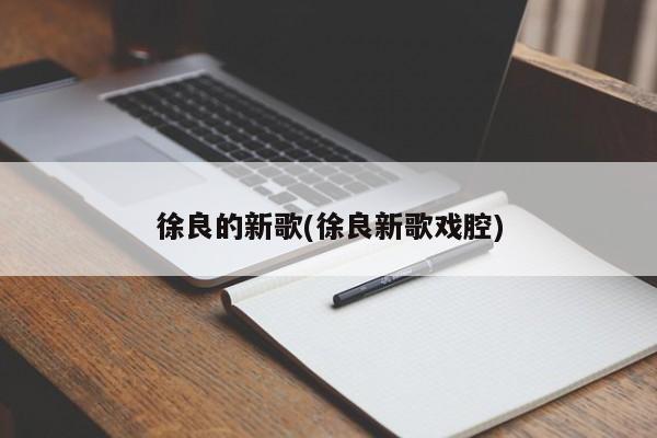 徐良的新歌(徐良新歌戏腔)
