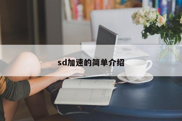 sd加速的简单介绍