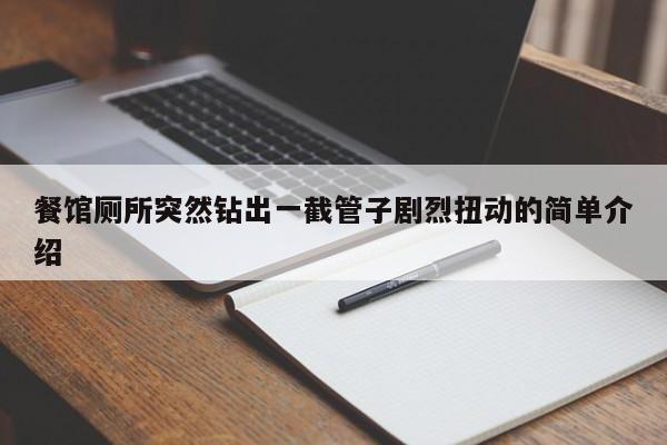 餐馆厕所突然钻出一截管子剧烈扭动的简单介绍