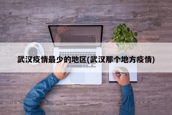 武汉疫情最少的地区(武汉那个地方疫情)